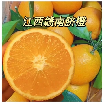 水果控救星！爆甜多汁的赣南脐橙来啦