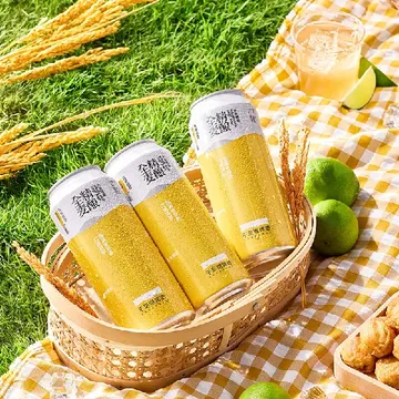 20块💰左右就能拥有的精酿啤酒，真的绝了好不！