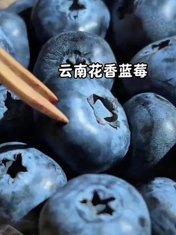 蓝莓界天花板！一口爱上，从此别家是路人