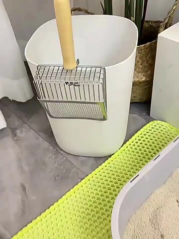 铲屎官的得力助手，是它给的！