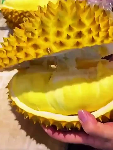 同款榴莲脑袋的宝子看过来！！