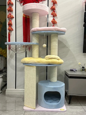几十块💰的猫爬架真的绝了好不！