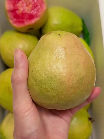水果脑袋都买这个又软又甜的芭乐！
