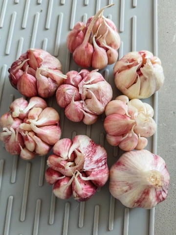 爱吃蒜的宝子快冲！这蒜绝了😭