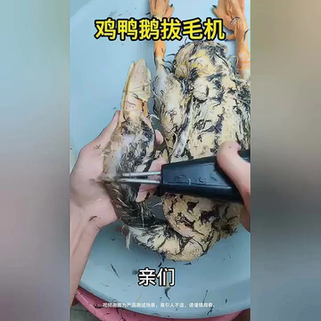家禽拔毛也有神器？快来看看怎么个事