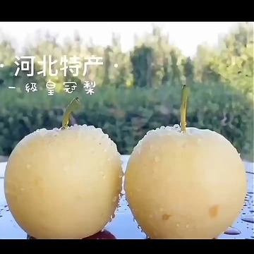 挑梨闯关小游戏，连对CP尝鲜甜蜜梨滋味！