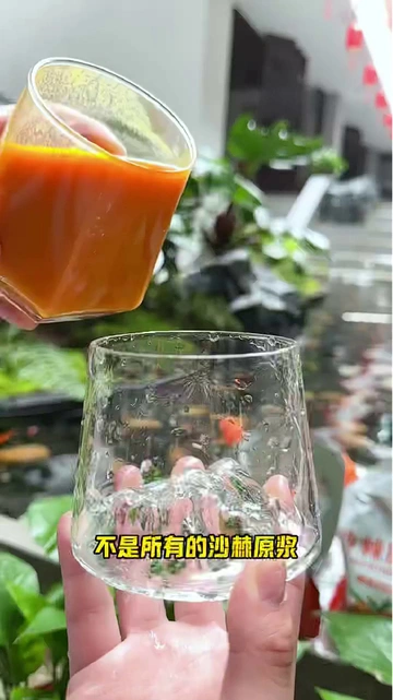 没开玩笑！这沙棘汁真的有一套！