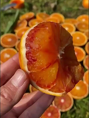 四川朋友推荐的！！也太太太好吃了吧