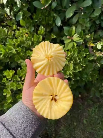 苹果买错品种了？这个选择拯救你✅