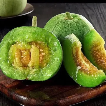 救命！东北绿宝石甜瓜种子居然能种出“甜过初恋”的豹纹香瓜！