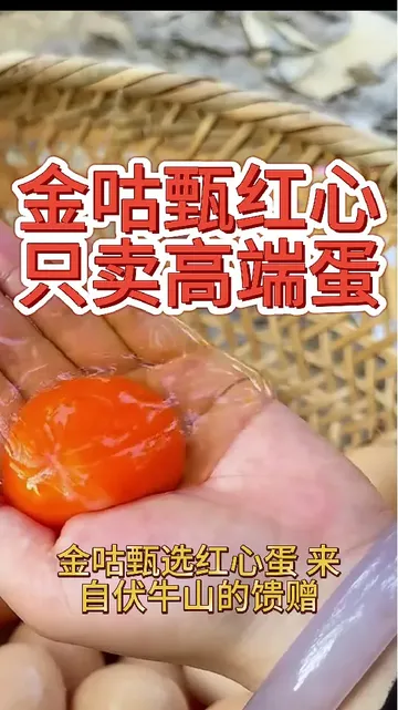 💰买到农家散养的新鲜美味！