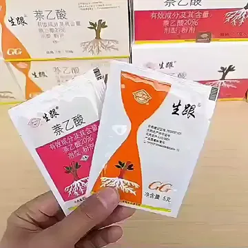 花友们还在为扦插移栽花卉、多肉不生根烦恼？