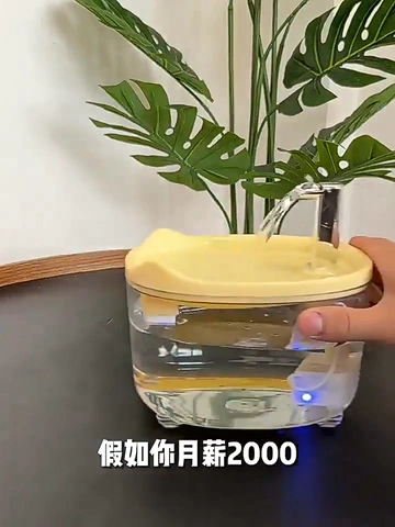 猫咪喝水大闯关，选对神器赢健康！