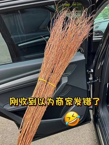 花瓶沾了这雪柳鲜枝！美到不像话！