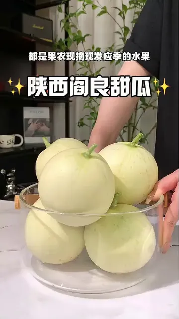 阎良甜瓜称霸水果界？三招让你秒懂它的魅力！