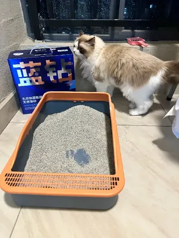 猫砂推荐～