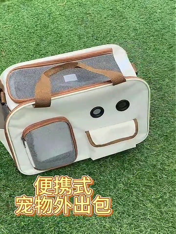 萌宠出行大变身！背上真的太太太太方便了