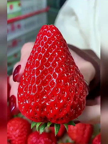 🧸年货季大采购✨丹东草莓开箱分享！！