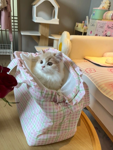 家里毛孩子出行难题解决啦！ZEZE猫包我能用到停产！