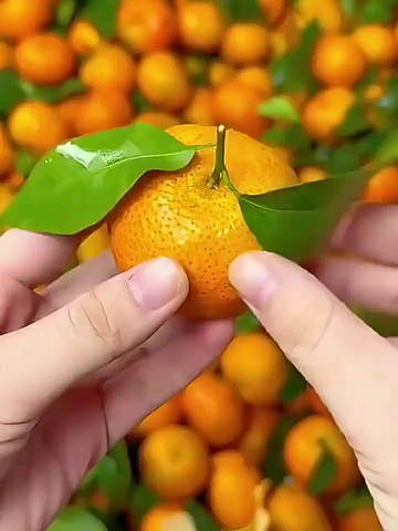 黄皮斑点脸真有被救到！黄气消消乐啊！
