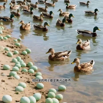 每次几毛钱！养生滋补不讲道理！