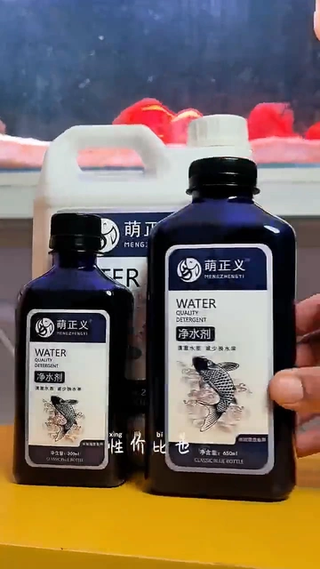 养鱼星人必看！三招教你告别鱼缸“混沌”🐟