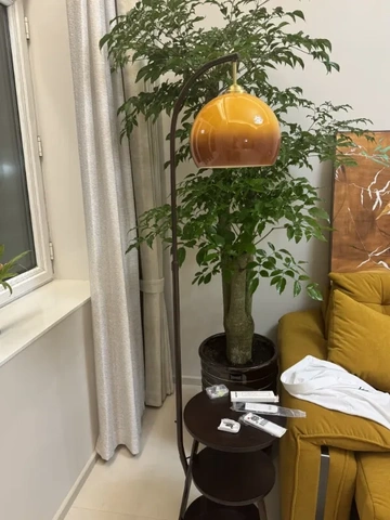 【家居氛围感自救指南】把格调玩明白了！