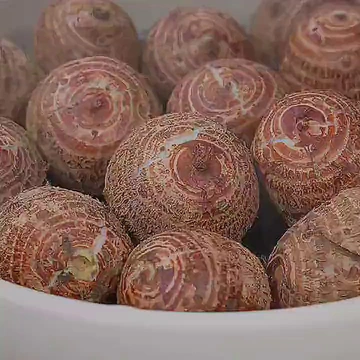 🎈芋香の温馨早晨 | 秋冬软糯补给站