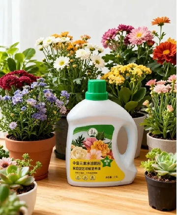 绿植养护之路漫漫，养不活才是扎心难题