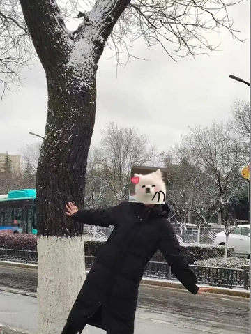 ❄️PLOG|新人博主第10天｜冬日温暖碎片🔁