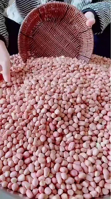 成年人不做选择：营养美味全都要！