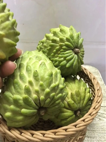 水果控尖叫！！别再乱买释迦果了！