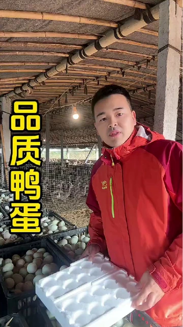 宝妈必看❗宝宝吃蛋新选择✨戚溪无抗鸭蛋来袭