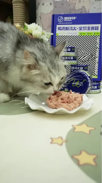 求求养猫的家长快冲！毛孩子吨吨补水啦😱