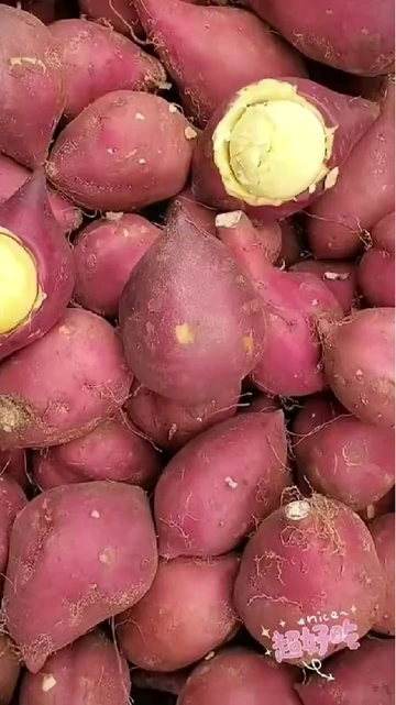 桥头地瓜买多了吃不完？这样做超绝！🥔