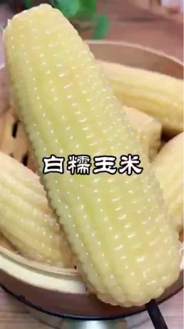 🌽一口沦陷！疆域采虹东北黄糯玉米，黏糯香甜到疯狂！