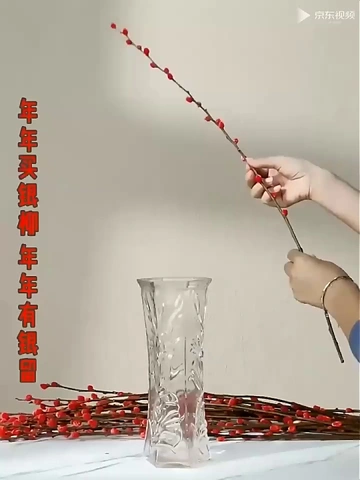 别乱买！这款银柳才是年宵花扛把子！