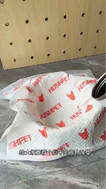 铲屎官必看！尿垫界“六边形战士”，油头退退退同款控油思路
