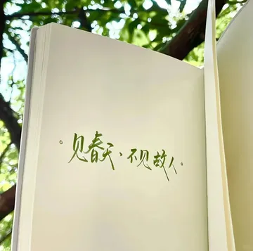 “ 青春是未命名的雨天 ”