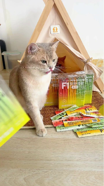 猫咪挑食老发愁？猫条三招让它秒变“小吃货”！