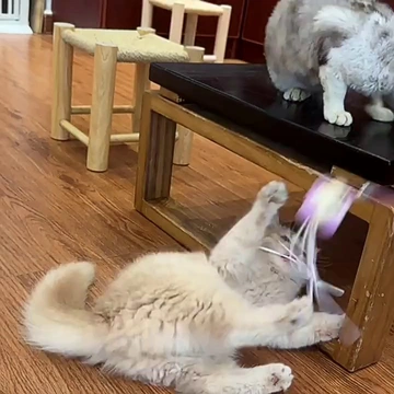 🥹谢谢买它！谢谢铲屎官们！这款逗猫棒真的超火