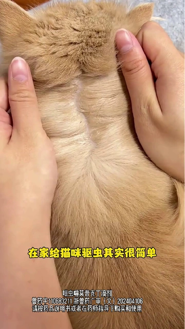 选对驱虫药真的很重要！铲屎官清单请收好