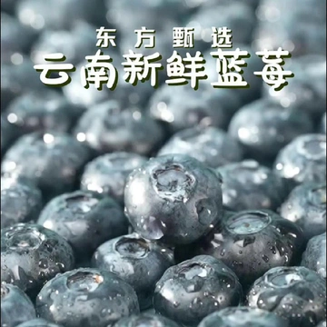 东方甄选的云南蓝莓隐藏优势，被我扒光啦！