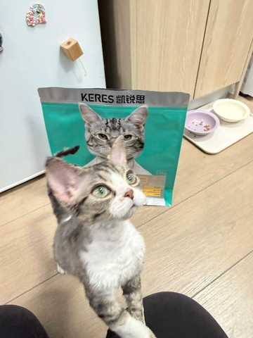有了它，再也不担心老年猫猫营养跟不上啦！！