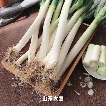 简直葱中“宝藏”！轻松拿捏新鲜美味的农家毛葱