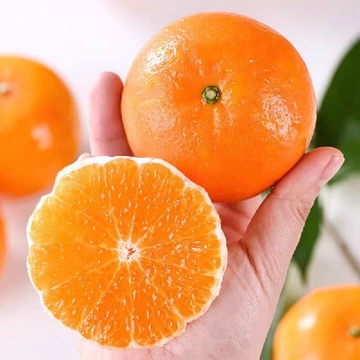应季鲜果 | 广西武鸣沃柑，甜蜜“橙”风破浪来袭🍊