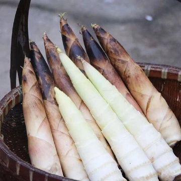 一吃一个惊艳！味蕾直接回春啦！