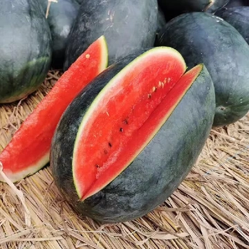 🍉黑美人西瓜の清甜夏日｜消暑美味补给站
