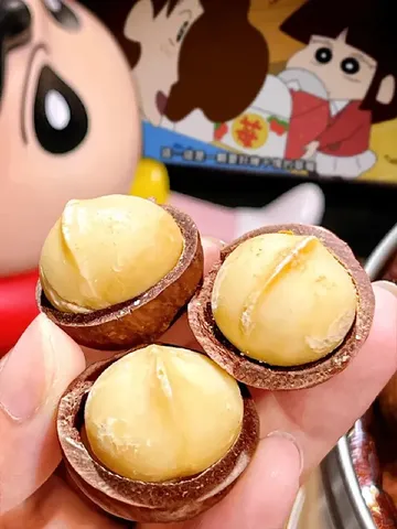 夏威夷果——追剧好搭子