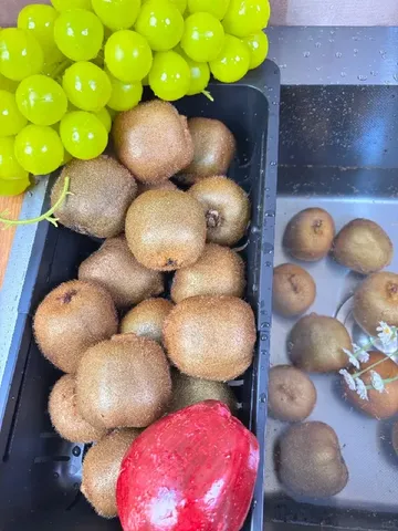 唯一缺点：季节限定😅